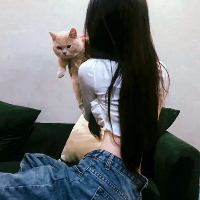 黑猫警长之翡翠之星